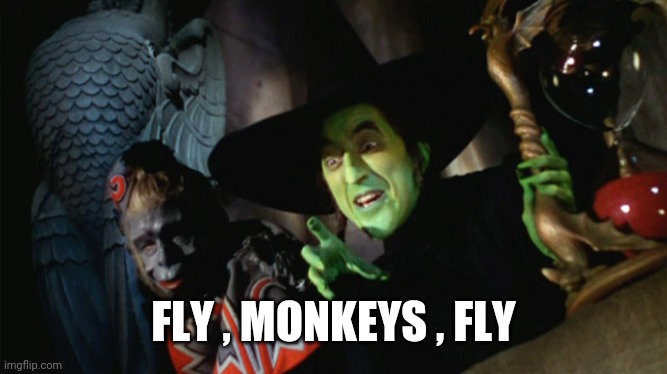 wicked witch with hourglass and flying monkey | FLY , MONKEYS , FLY | image tagged in wicked witch with hourglass and flying monkey | made w/ Imgflip meme maker