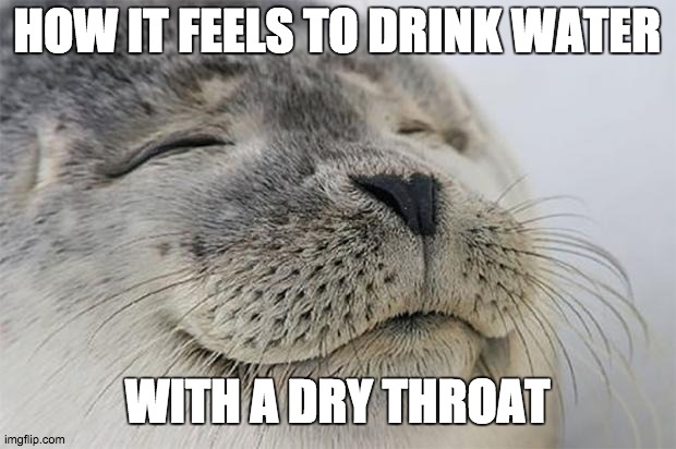 noice | HOW IT FEELS TO DRINK WATER; WITH A DRY THROAT | image tagged in memes,satisfied seal | made w/ Imgflip meme maker