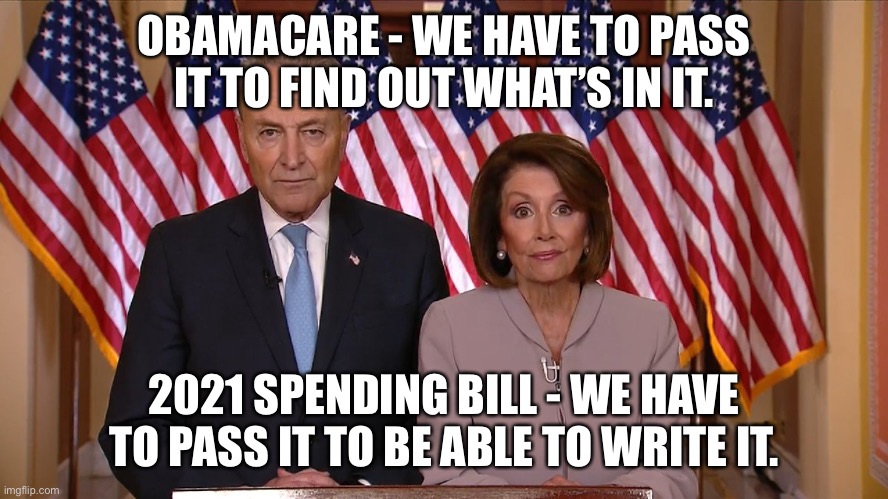 Chuck and Nancy go to Congress | OBAMACARE - WE HAVE TO PASS IT TO FIND OUT WHAT’S IN IT. 2021 SPENDING BILL - WE HAVE TO PASS IT TO BE ABLE TO WRITE IT. | image tagged in chuck and nancy | made w/ Imgflip meme maker