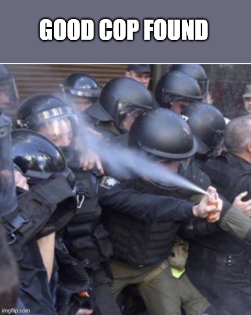 GOOD COP | GOOD COP FOUND | image tagged in police officer pepper spraying himself,back the blue,cops | made w/ Imgflip meme maker