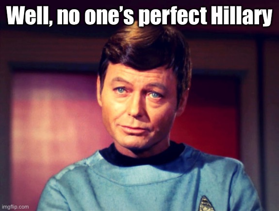 Sympathy | Well, no one’s perfect Hillary | image tagged in sympathy | made w/ Imgflip meme maker