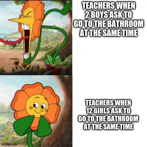 this happened to me in summer school yesterday | TEACHERS WHEN 2 BOYS ASK TO GO TO THE BATHROOM AT THE SAME TIME; TEACHERS WHEN 12 GIRLS ASK TO GO TO THE BATHROOM AT THE SAME TIME | image tagged in sunflower | made w/ Imgflip meme maker