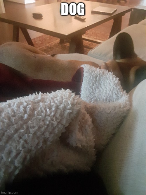 DOG | made w/ Imgflip meme maker