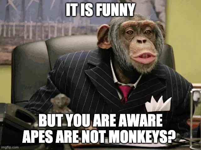 IT IS FUNNY BUT YOU ARE AWARE APES ARE NOT MONKEYS? | made w/ Imgflip meme maker