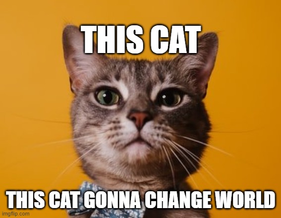 This Cat | THIS CAT; THIS CAT GONNA CHANGE WORLD | image tagged in this cat | made w/ Imgflip meme maker