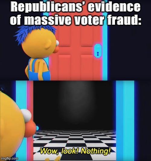 This is beyond science | Republicans’ evidence of massive voter fraud: | image tagged in wow look nothing,voter fraud,election fraud | made w/ Imgflip meme maker