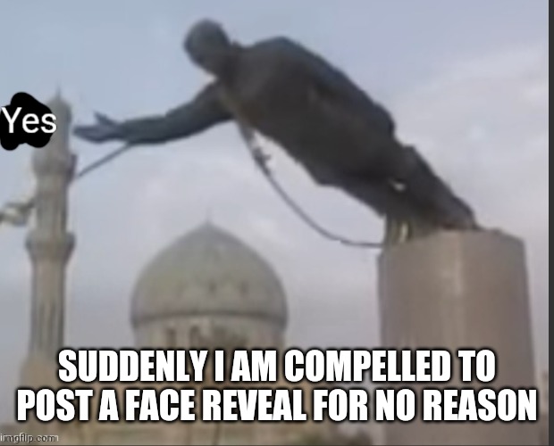 shOuLd I¿ | SUDDENLY I AM COMPELLED TO POST A FACE REVEAL FOR NO REASON | image tagged in yes | made w/ Imgflip meme maker