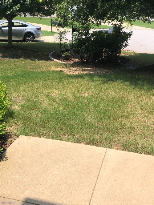The grass on my lawn is sticking up :p | made w/ Imgflip meme maker