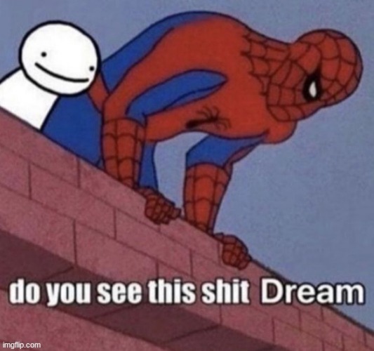 You see this shit Dream? | image tagged in you see this shit dream | made w/ Imgflip meme maker