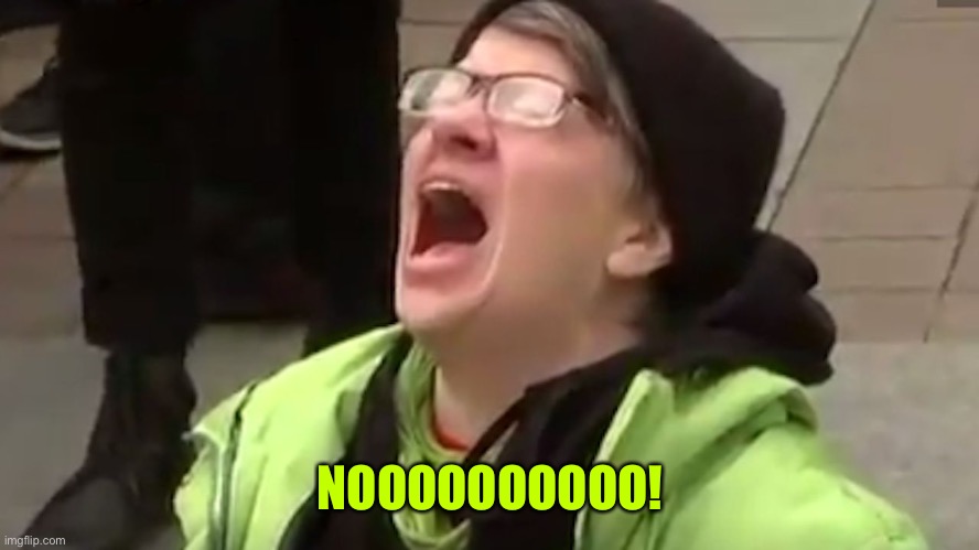 Screaming Liberal  | NOOOOOOOOOO! | image tagged in screaming liberal | made w/ Imgflip meme maker