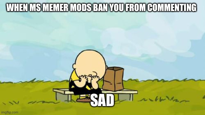 N | WHEN MS MEMER MODS BAN YOU FROM COMMENTING; SAD | image tagged in depressed charlie brown | made w/ Imgflip meme maker