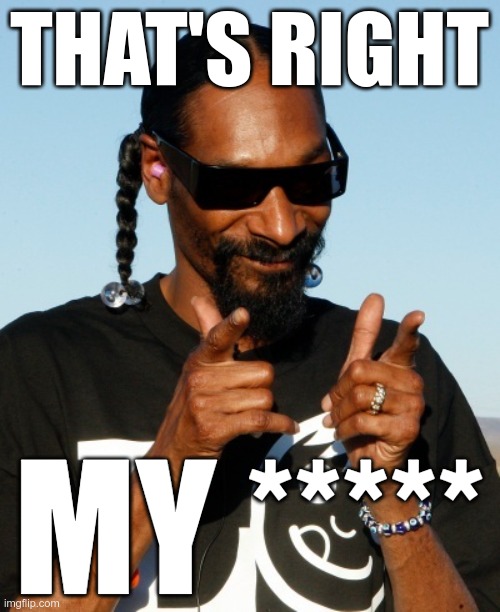Snoop Dogg approves | THAT'S RIGHT MY ***** | image tagged in snoop dogg approves | made w/ Imgflip meme maker