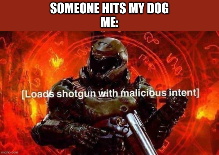 Loads shotgun with malicious intent | SOMEONE HITS MY DOG
ME: | image tagged in loads shotgun with malicious intent | made w/ Imgflip meme maker