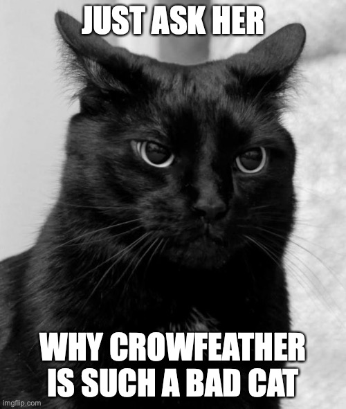 just google "nightcloud" | JUST ASK HER; WHY CROWFEATHER IS SUCH A BAD CAT | image tagged in warrior cats | made w/ Imgflip meme maker