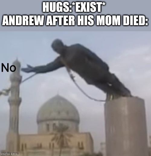 whats ironic is that he hated hugs yet all he wanted was a hug ;-; | HUGS:*EXIST* 
ANDREW AFTER HIS MOM DIED: | image tagged in n o | made w/ Imgflip meme maker