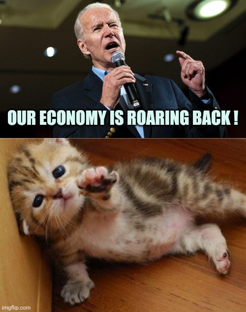 "I read the news today , oh boy" - Lennon/McCartney | OUR ECONOMY IS ROARING BACK ! | image tagged in biden speech,help me kitten,comprehending joey,resident evil,president covid,politicians suck | made w/ Imgflip meme maker