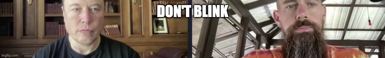 Don't Blink | DON'T BLINK | image tagged in elon musk,cathie wood,jack dorsey,bitcoin,ethereum,crypto | made w/ Imgflip meme maker