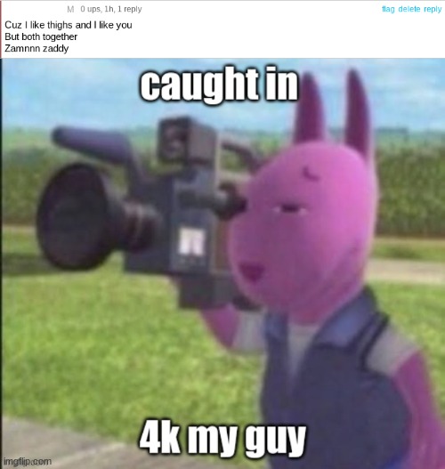 image tagged in purple caught in 4k | made w/ Imgflip meme maker