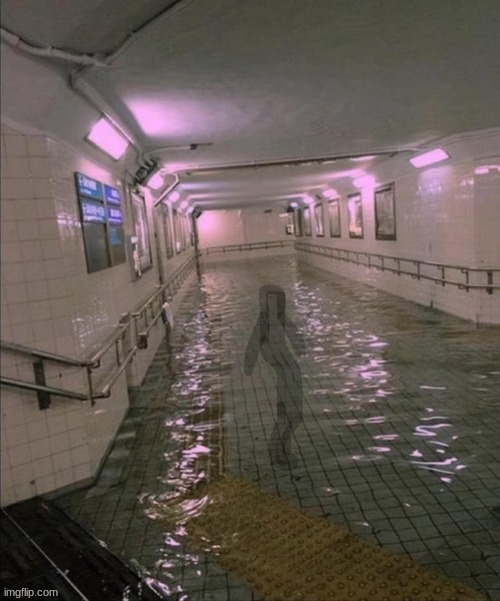 "After the flood, nobody really entered the subway. But those who did enter were presumed Missing." | made w/ Imgflip meme maker