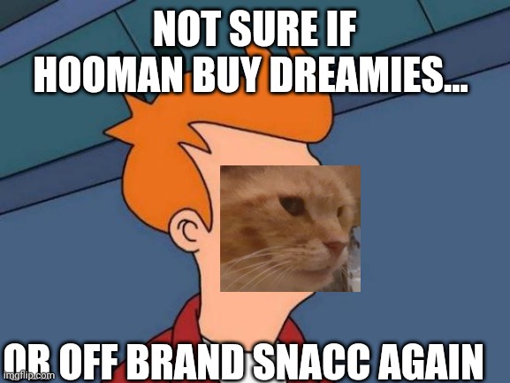 Not sure cat | NOT SURE IF HOOMAN BUY DREAMIES... OR OFF BRAND SNACC AGAIN | image tagged in memes,futurama fry | made w/ Imgflip meme maker