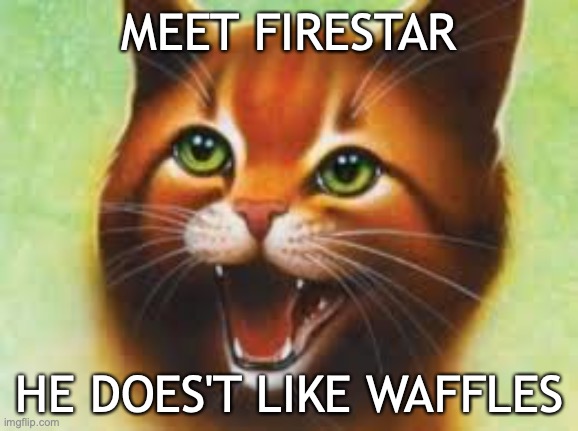 Warrior cats Firestar | MEET FIRESTAR; HE DOES'T LIKE WAFFLES | image tagged in warrior cats firestar | made w/ Imgflip meme maker