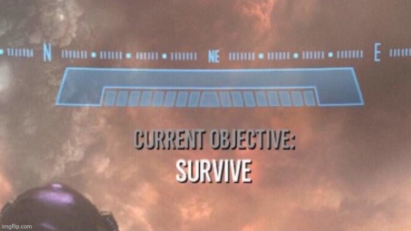 Current Objective: Survive | image tagged in current objective survive | made w/ Imgflip meme maker