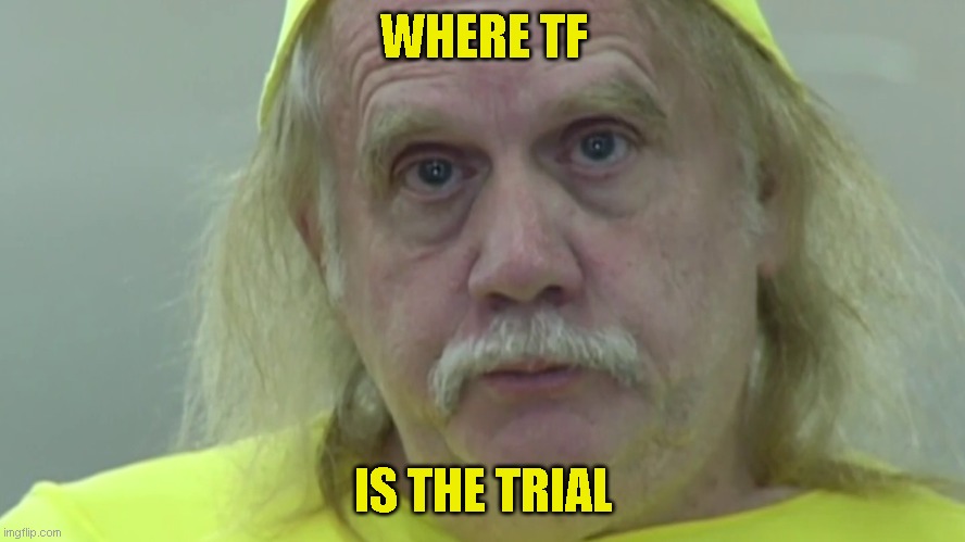 WHERE TF; IS THE TRIAL | made w/ Imgflip meme maker