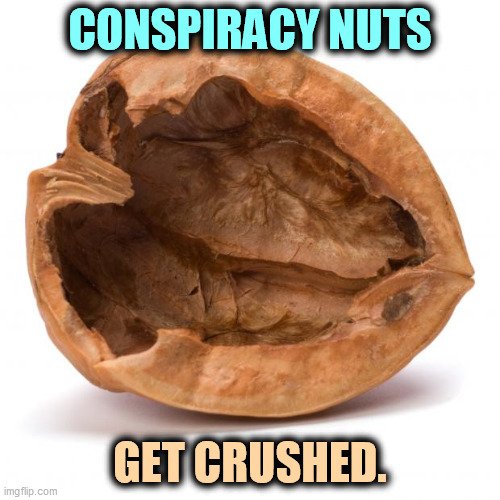 COVID conspiracies can be painful, even lethal. | CONSPIRACY NUTS; GET CRUSHED. | image tagged in nutshell,covid-19,conspiracy,painful,injury | made w/ Imgflip meme maker