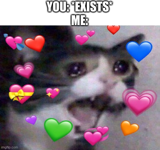 here take i luv u | YOU: *EXISTS*
ME: | image tagged in blank white template | made w/ Imgflip meme maker