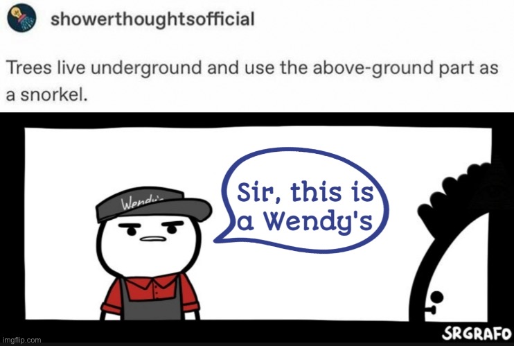 image tagged in sir this is a wendy's | made w/ Imgflip meme maker