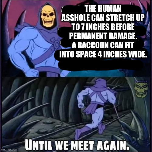 THE HUMAN ASSHOLE CAN STRETCH UP TO 7 INCHES BEFORE PERMANENT DAMAGE. A RACCOON CAN FIT INTO SPACE 4 INCHES WIDE. | image tagged in memes | made w/ Imgflip meme maker