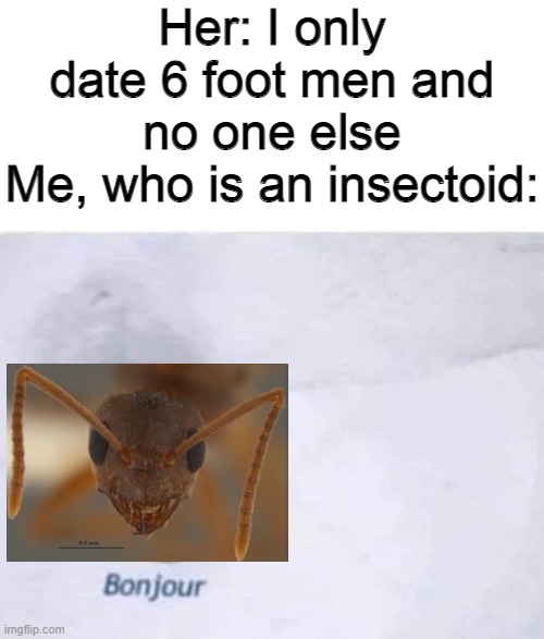 Bonjour | Her: I only date 6 foot men and no one else
Me, who is an insectoid: | image tagged in bonjour,insects,bugs,memes,6 foot,funny | made w/ Imgflip meme maker