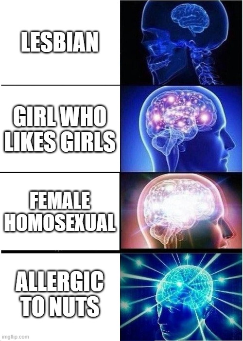Expanding Brain | LESBIAN; GIRL WHO LIKES GIRLS; FEMALE HOMOSEXUAL; ALLERGIC TO NUTS | image tagged in memes,expanding brain | made w/ Imgflip meme maker