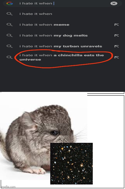 I hate it when chinchilla eats the universe | image tagged in memes,blank comic panel 1x2 | made w/ Imgflip meme maker