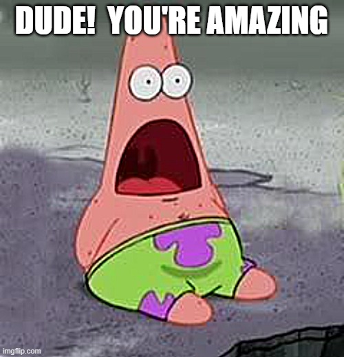 Suprised Patrick | DUDE!  YOU'RE AMAZING | image tagged in suprised patrick | made w/ Imgflip meme maker