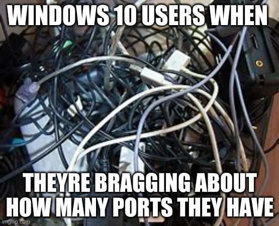 Windows 10 users when they flex | WINDOWS 10 USERS WHEN; THEYRE BRAGGING ABOUT HOW MANY PORTS THEY HAVE | image tagged in windows 10,pc | made w/ Imgflip meme maker