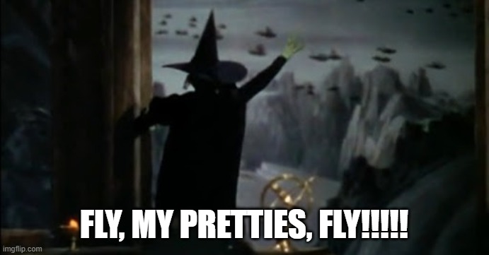 Fly, my pretties! | FLY, MY PRETTIES, FLY!!!!! | image tagged in fly my pretties | made w/ Imgflip meme maker