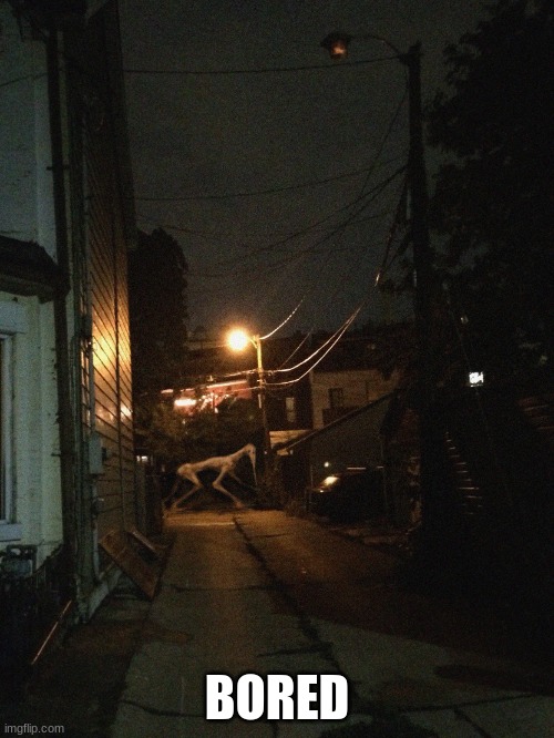 Needle Horse | BORED | image tagged in needle horse | made w/ Imgflip meme maker