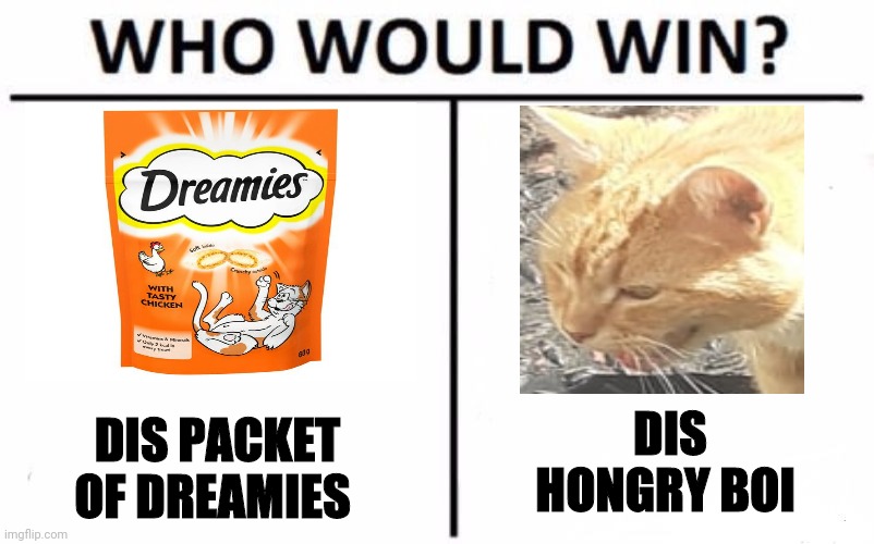 Hongry Frank | DIS HONGRY BOI; DIS PACKET OF DREAMIES | image tagged in memes,who would win,cats | made w/ Imgflip meme maker