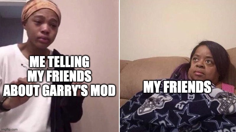 Me explaining to my mom | ME TELLING MY FRIENDS ABOUT GARRY'S MOD; MY FRIENDS | image tagged in me explaining to my mom | made w/ Imgflip meme maker