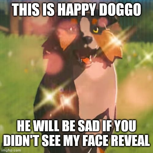 Zelda dog | THIS IS HAPPY DOGGO; HE WILL BE SAD IF YOU DIDN'T SEE MY FACE REVEAL | image tagged in zelda dog | made w/ Imgflip meme maker