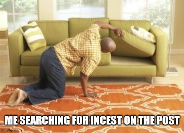 Searching  | ME SEARCHING FOR INCEST ON THE POST | image tagged in searching | made w/ Imgflip meme maker