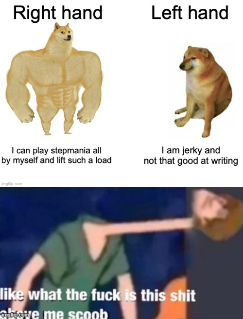 image tagged in like what the f ck is this sh t above me scoob | made w/ Imgflip meme maker