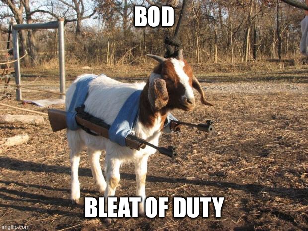 BOD | BOD; BLEAT OF DUTY | image tagged in call of duty goat | made w/ Imgflip meme maker