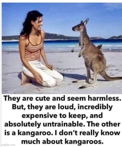 Not mine | image tagged in funny memes | made w/ Imgflip meme maker