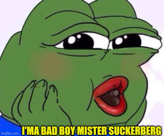 Pepe the frog happy | I'MA BAD BOY MISTER SUCKERBERG | image tagged in pepe the frog happy | made w/ Imgflip meme maker