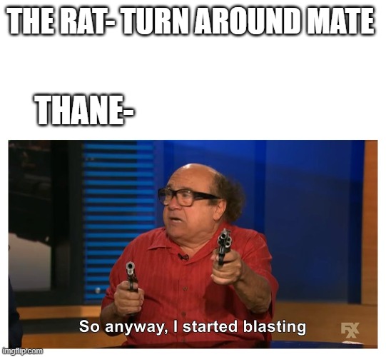 thane | THE RAT- TURN AROUND MATE; THANE- | image tagged in dnd | made w/ Imgflip meme maker
