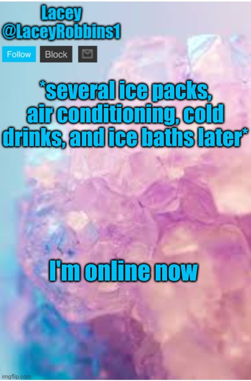 Lacey announcement template | *several ice packs, air conditioning, cold drinks, and ice baths later*; I'm online now | image tagged in lacey announcement template | made w/ Imgflip meme maker