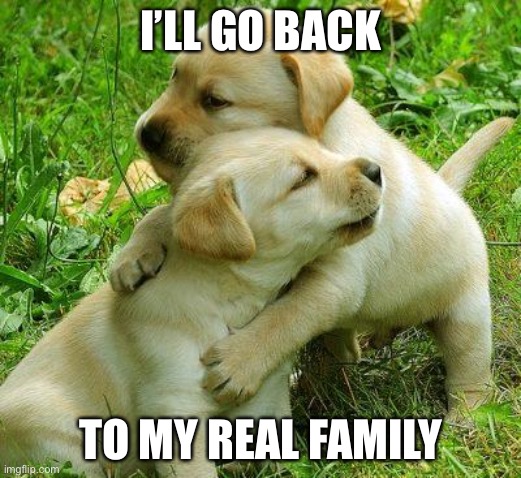 Puppy I love bro | I’LL GO BACK; TO MY REAL FAMILY | image tagged in puppy i love bro | made w/ Imgflip meme maker