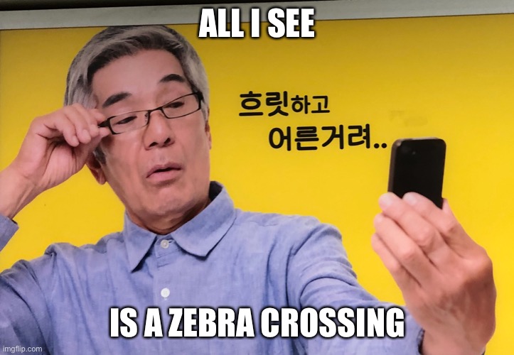 Can’t see adashee | ALL I SEE; IS A ZEBRA CROSSING | image tagged in can t see adashee | made w/ Imgflip meme maker